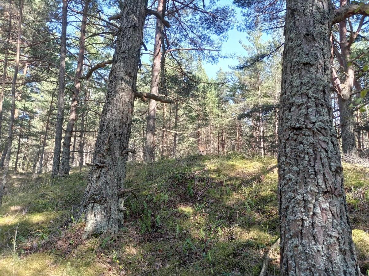 Apartment House, Garden & Sauna. Free Parking. Train Stop-200 M. Sea-1 Km. *