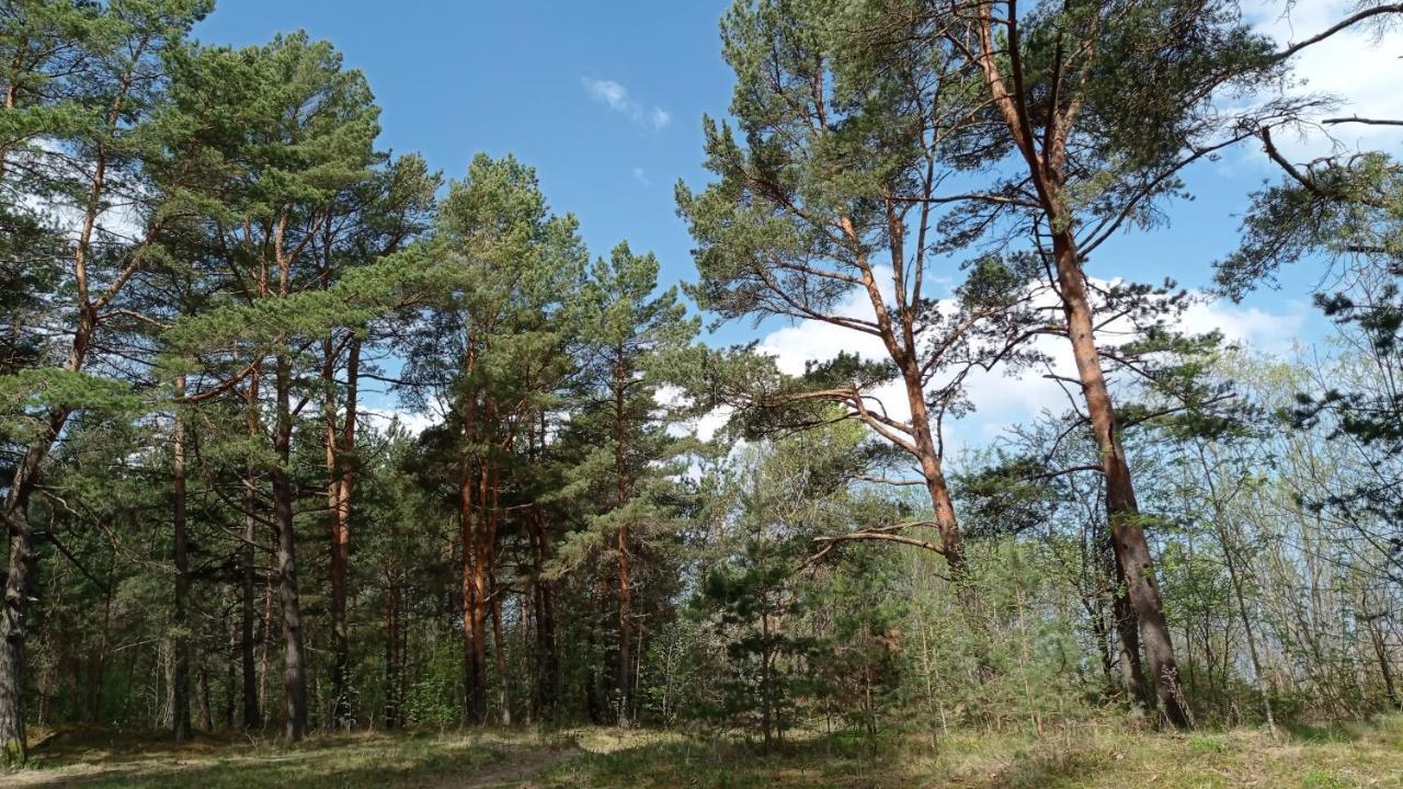 Apartment House, Garden & Sauna. Free Parking. Train Stop-200 M. Sea-1 Km. Jurmala